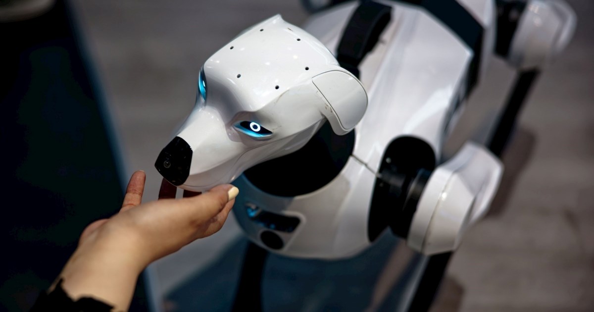 Robotskim psom u meksičkom gradu želi se podići svijest o pravima životinja