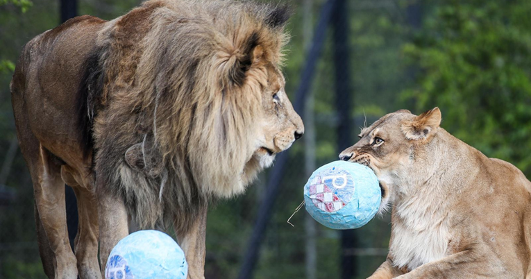 FOTO Životinje u zagrebačkom Zoološkom vrtu razveselile su se pisanicama