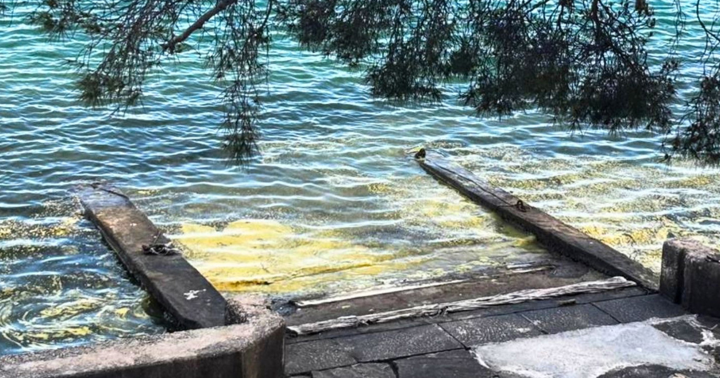 Požutjelo more kod Šibenika. Znanstvenici s Ruđera: To je pelud, nije onešičšćenje