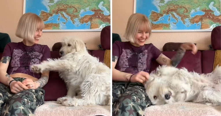 Snimila reakciju svog udomljenog psa nakon što ga je prvi put mazila po trbuhu