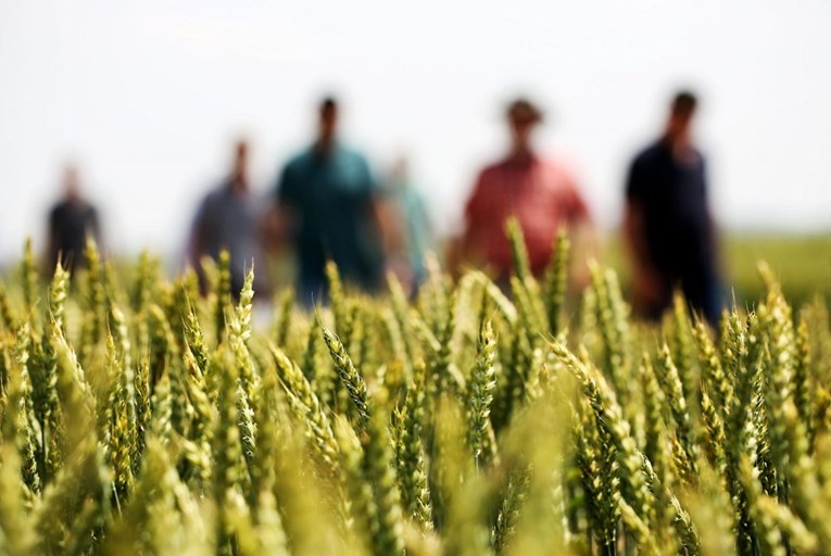 Hrvatska ima dovoljno nezaposlenih za sezonski rad u poljoprivredi