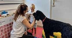 Ovo je Dora, terapijski pas koji pomaže najmlađim pacijentima
