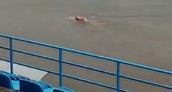 Gazda hrvatskog nogometnog kluba plivao po terenu svog stadiona