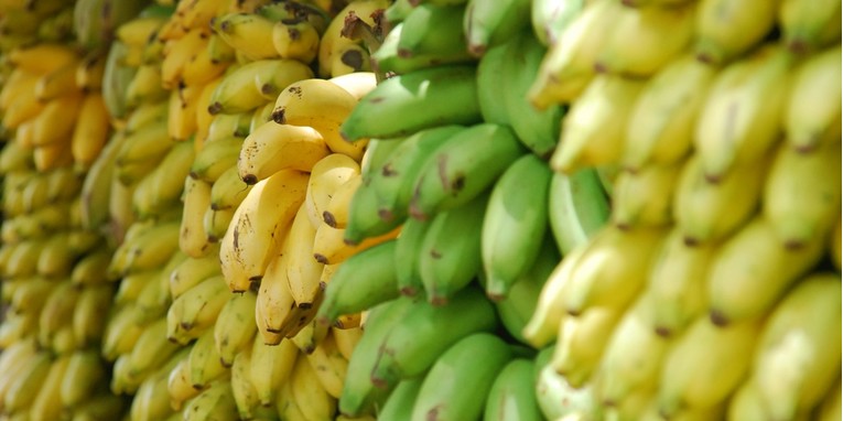 Plantana banane, voće koje prilično podsjeća na krumpir