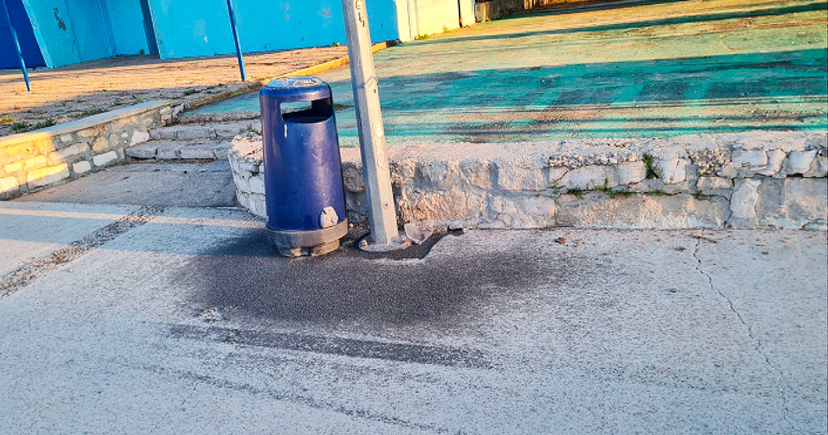 FOTO Dalmacija pod najezdom mušica