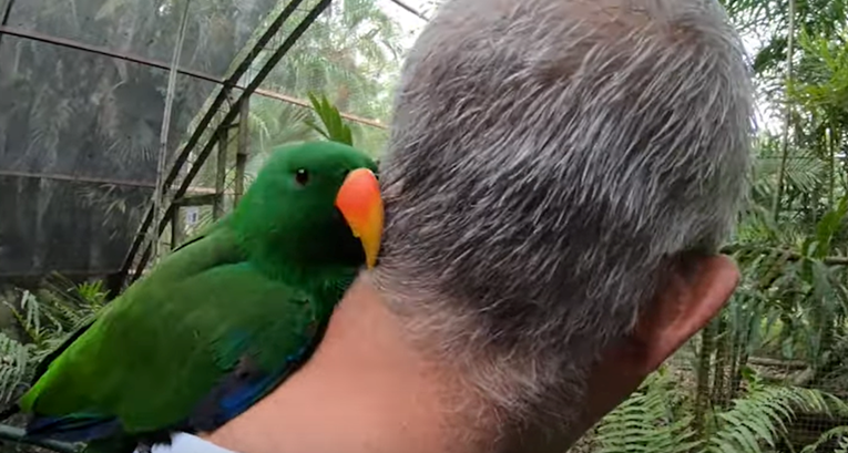 Došao je u park prirode pa dobio najslađe iznenađenje od papigice
