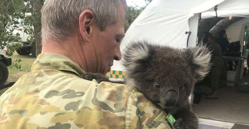 Koala nije ispuštala iz zagrljaja čovjeka koji ju je spasio, vjerovala mu je