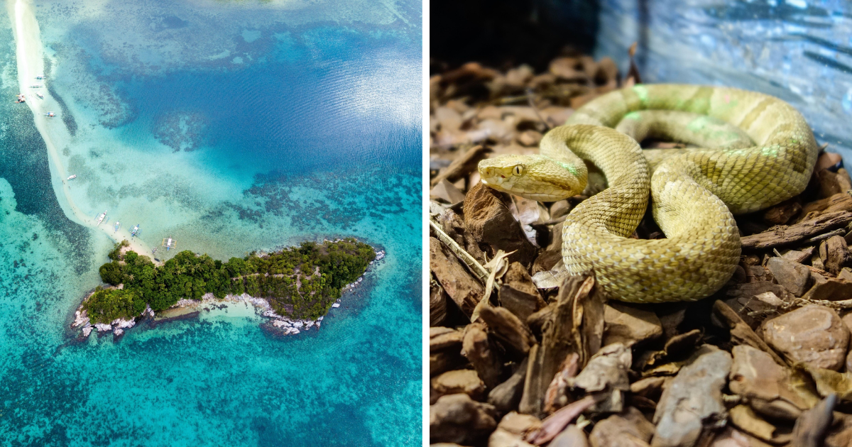 Otok kod Brazila nazivaju "najsmrtonosnijim na svijetu", ljudima je posjet zabranjen