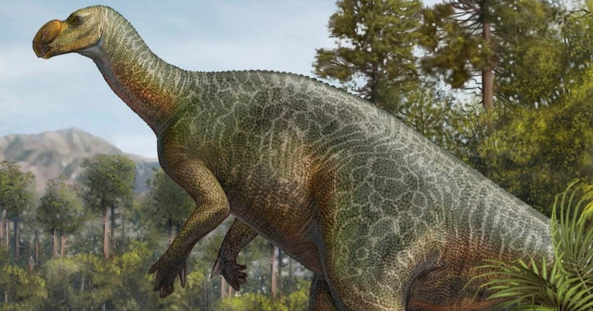 Australska država za službeni grb odabrala fosil dinosaura