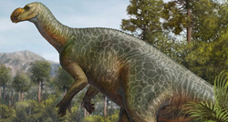 Australska država za službeni grb odabrala fosil dinosaura