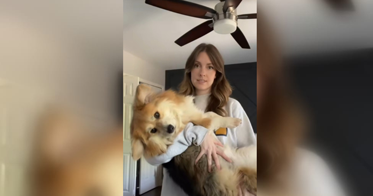 Hit-video: Nabavila korgija jer je htjela malog psa. Iznenadilo je koliko je narastao