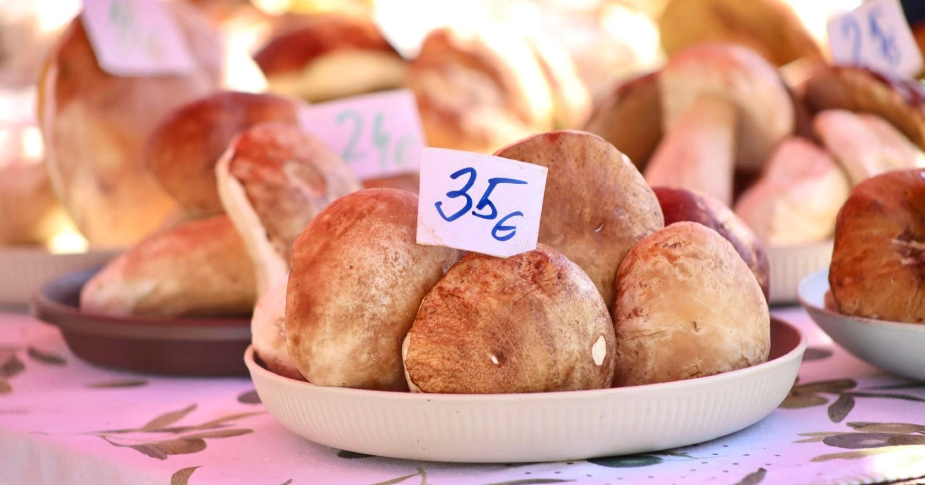 Vrganji stigli na Kvatrić, cijene idu i do 35 eura. Evo koliko su koštali lani