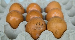 Ove pojave na jajima otkrivaju jesu li pokvarena ili dobra za jelo