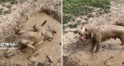 Pas šokirao vlasnicu tijekom šetnje: Iz čista mira se bacio u blato