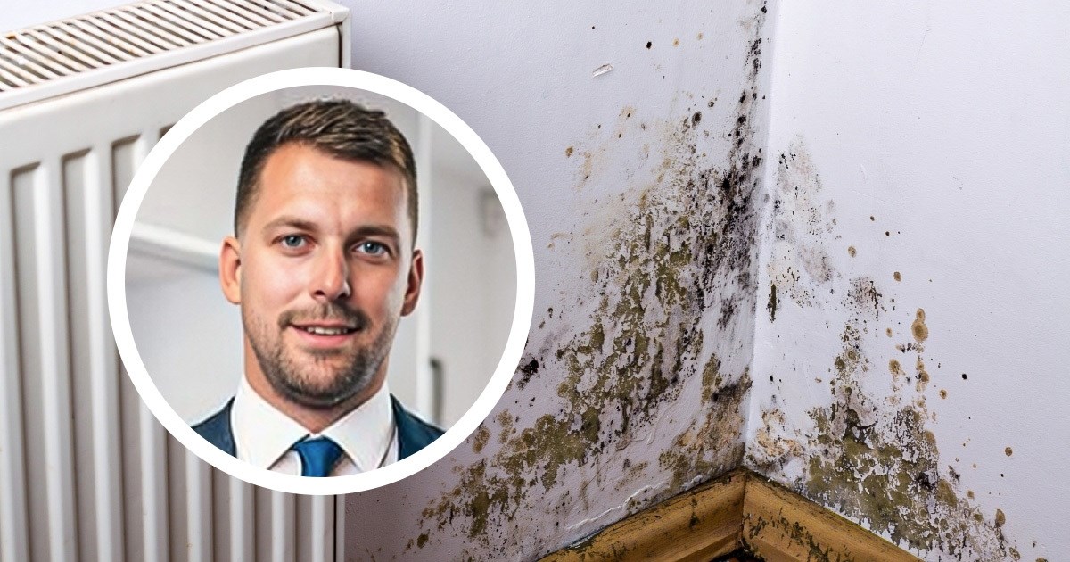 Ovaj stručnjak zna kako istjerati vlagu i plijesan iz doma