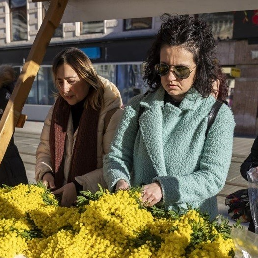 Dan mimoza: Svaki treći dan od raka maternice umre jedna žena