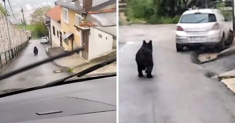 VIDEO Pogledajte snimku medvjeda koji hoda po Sarajevu