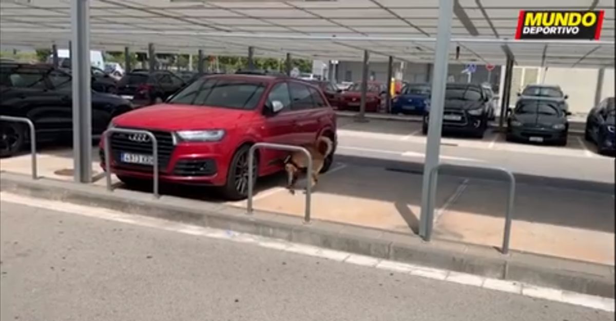 Policijski psi pretraživali automobile Messija i Suareza zbog dojave o bombama