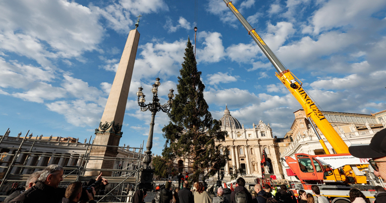Božićno drvo od 28 metara stiglo u Vatikan, evo što će učiniti s njim nakon blagdana