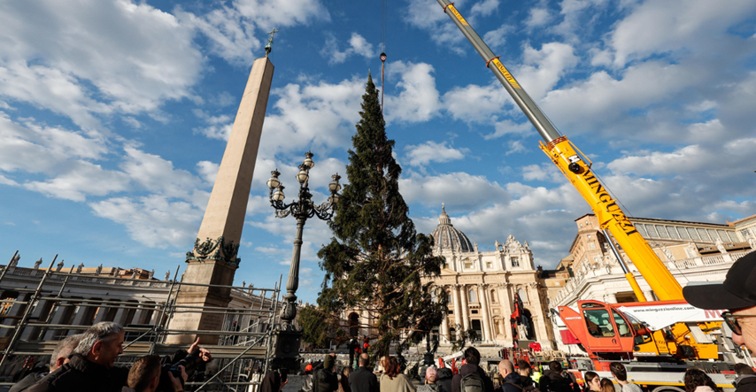 Božićno drvo od 28 metara stiglo u Vatikan, evo što će učiniti s njim nakon blagdana