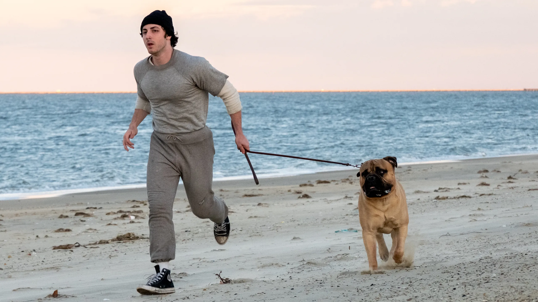 Najzanimljiviji filmovi koji dolaze do kraja godine (neki su već vani)