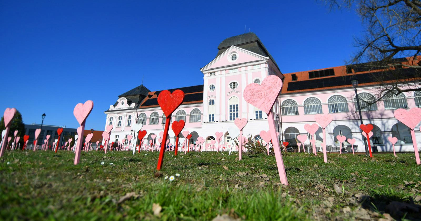 VIDEO Ispred dvorca Pejačević u Virovitici osvanulo tisuću srca