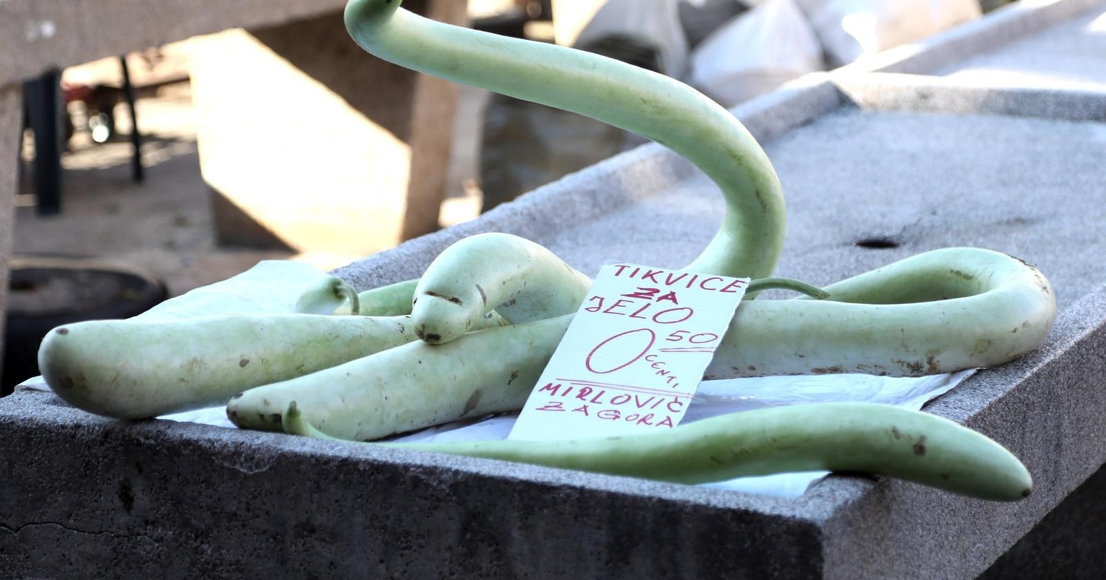 Zbog ovog je nastala opća pomama na šibenskoj tržnici, svi su znatiželjno zavirivali