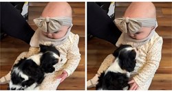 Dva milijuna pregleda: Bebin susret sa psićem definicija je ljubavi na prvi pogled