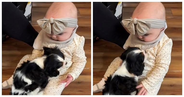 Dva milijuna pregleda: Bebin susret sa psićem definicija je ljubavi na prvi pogled