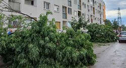 FOTO I VIDEO Snažno nevrijeme u Srbiji. Oluja čupala stabla i krovove