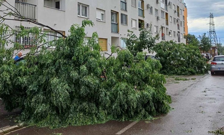 FOTO I VIDEO Snažno nevrijeme u Beogradu. Vjetar čupao stabla i krovove, poplave...