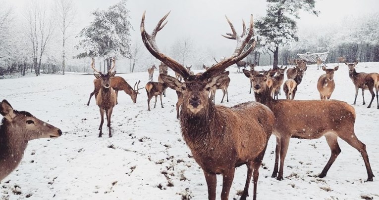 FOTO Snijeg pao i na Dolinu jelena kod Plitvica, slike su bajkovite