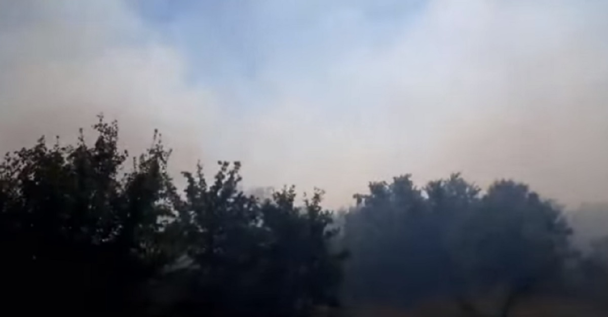 VIDEO Izbio požar kod Zadra, gasila ga dva Airtractora i kanader