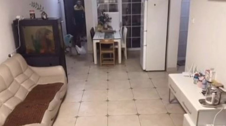Pas koji je bio sam u kući iznenadio dostavljača onim što je napravio
