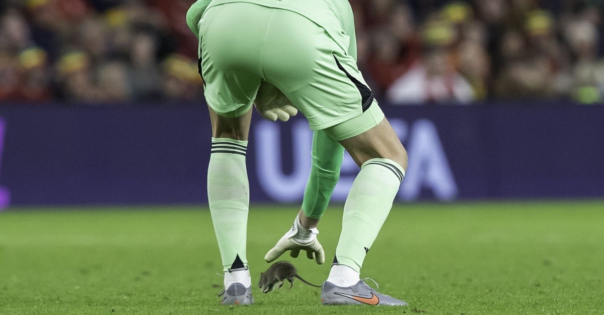 VIDEO Publika navijala za štakora u njegovom duelu s Courtoisom