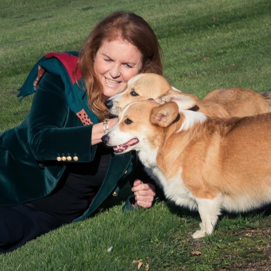 Sarah Ferguson podijelila prve fotografije s kraljičinim korgijima o kojima sad brine