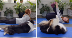 Australska ovčarka obožava jogu, a poze radi bolje od mnogih ljudi