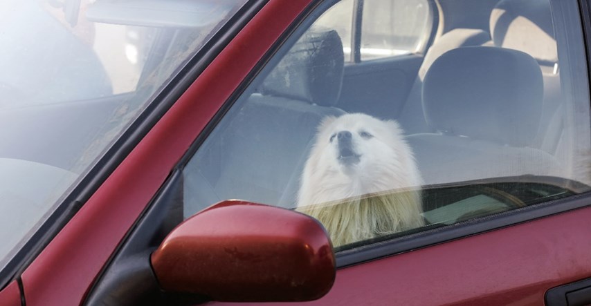 Policija: Ne razbijajte prozore tuđih auta da bi spasili životinje. Dobit ćete kaznu