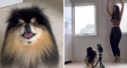 Snimala video za TikTok, ali pažnju je ukrao njezin pas: "Ovo mi je popravilo dan"