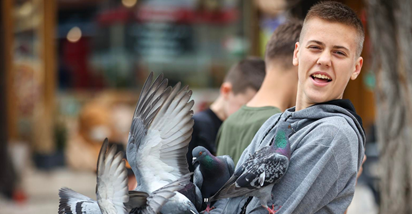 Turisti se igrali s golubovima na Baščaršiji i hranili ih, pogledajte najbolje fotke