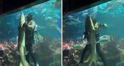 Ronilac u ruskom akvariju plesao s ogromnim morskim psom