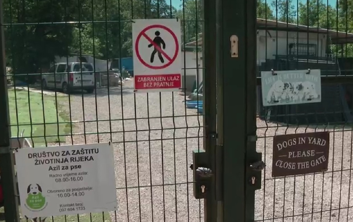 Iz riječkog azila ukradene četiri kujice. "Nestale su usred sudskog spora oko njih"
