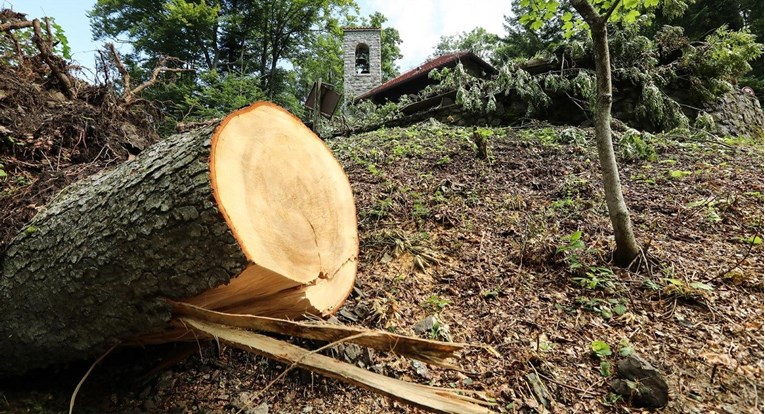Radnik osječke Šumarije poginuo na poslu, na njega palo stablo