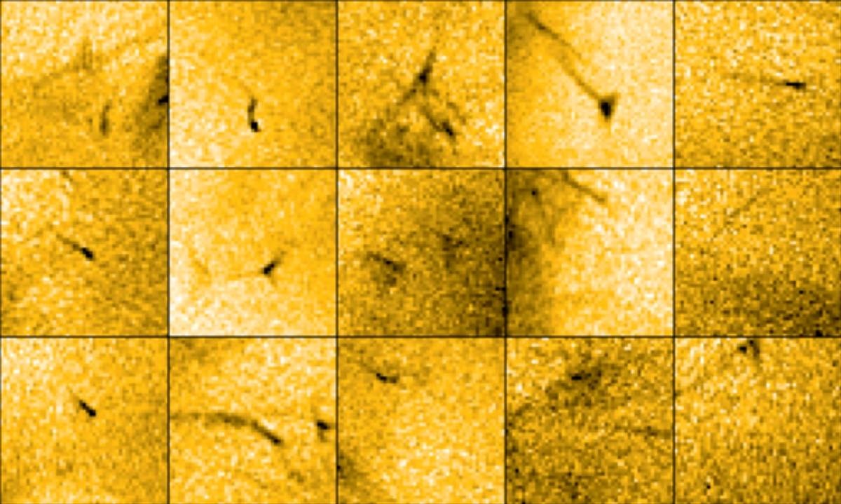 VIDEO U tamnim "rupama" na Suncu prvi put snimljene sićušne baklje