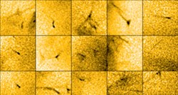 VIDEO U tamnim "rupama" na Suncu prvi put snimljene sićušne baklje
