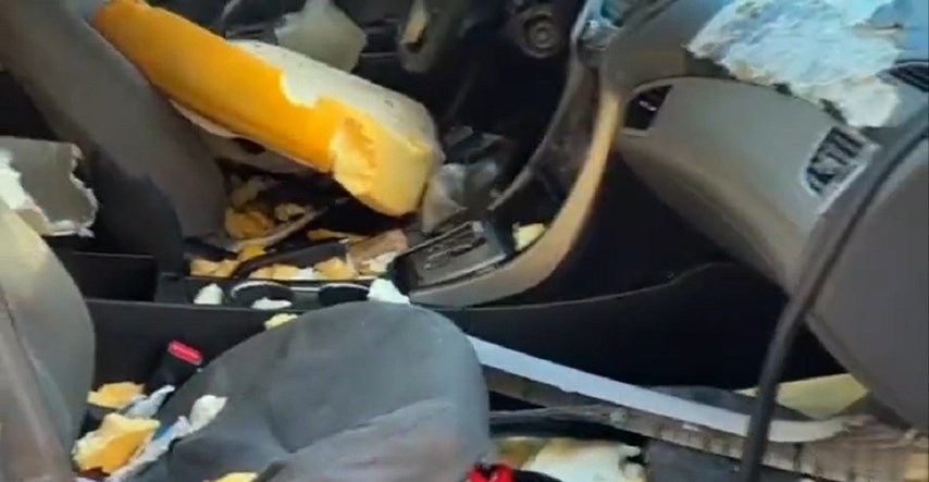 VIDEO Pogledajte što je medvjed u SAD-u napravio od auta u kojem je namirisao hranu
