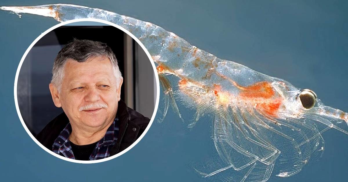 Ukrajinski znanstvenik štiti kril od izlova. Rusi ga uhitili. "Šteti gospodarstvu"