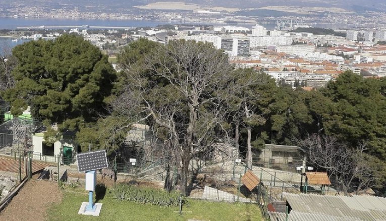 U Zoološkom vrtu u Splitu pronađeni mrtvi konji, sumnja se da su otrovani