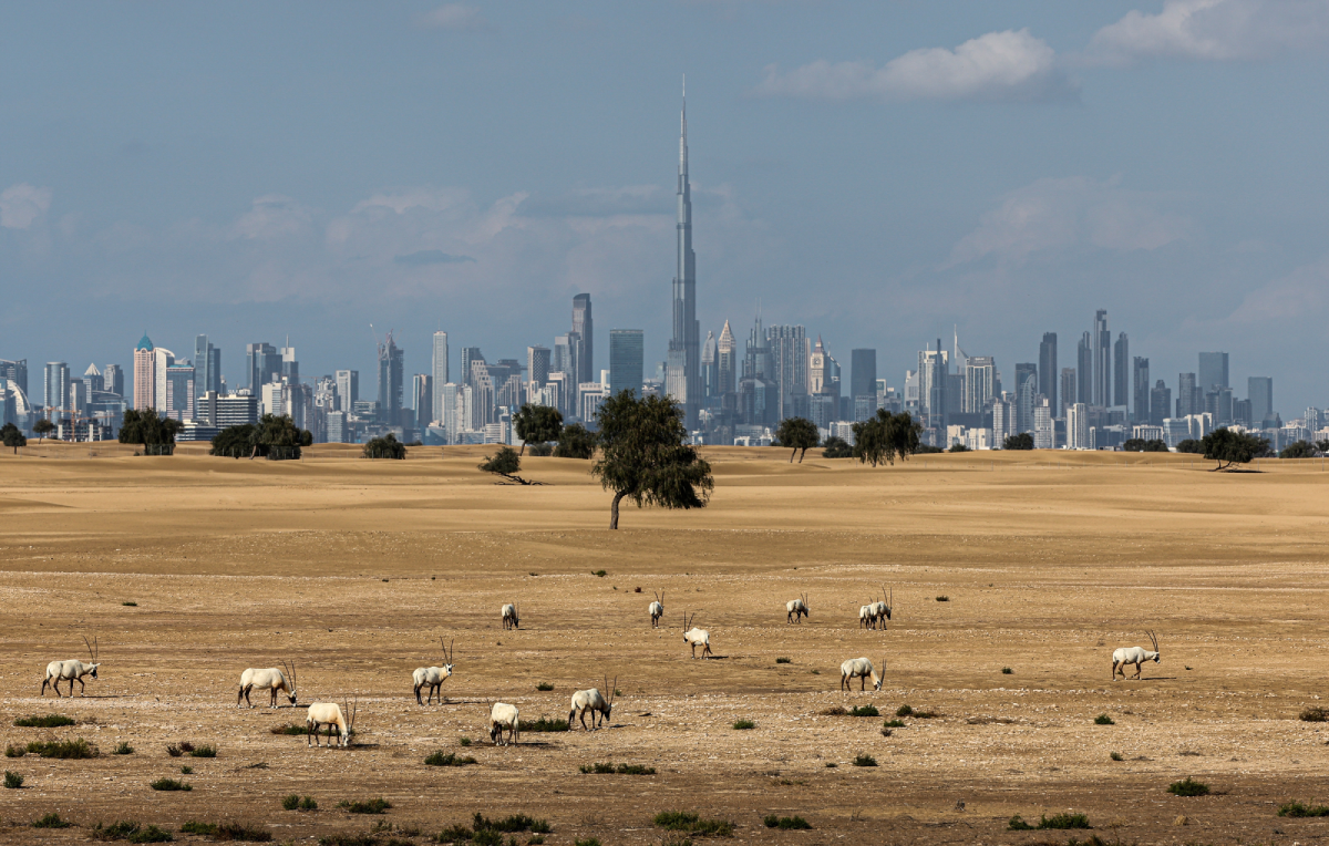 Britanci planinarili na +50 u pustinji kod Dubaija. Umrli su