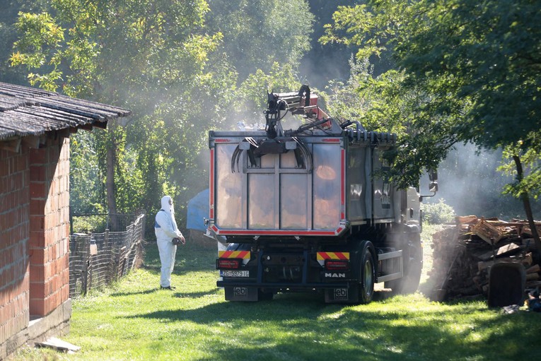 Opet se razbuktala svinjska kuga. "Jedan čovjek možda je spriječio katastrofu"